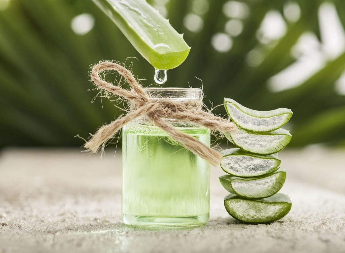 Aloe water sales for hair