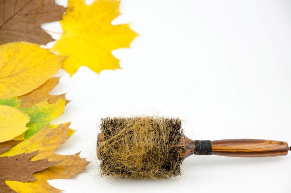 Why We Lose More Hair in Autumn