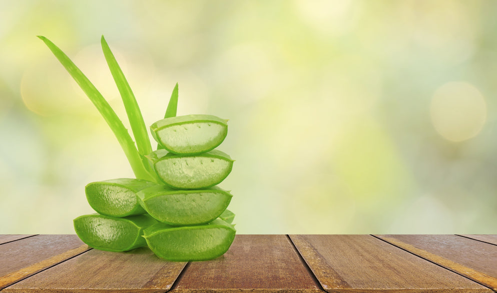 The Benefits of Aloe-Based Hair Products