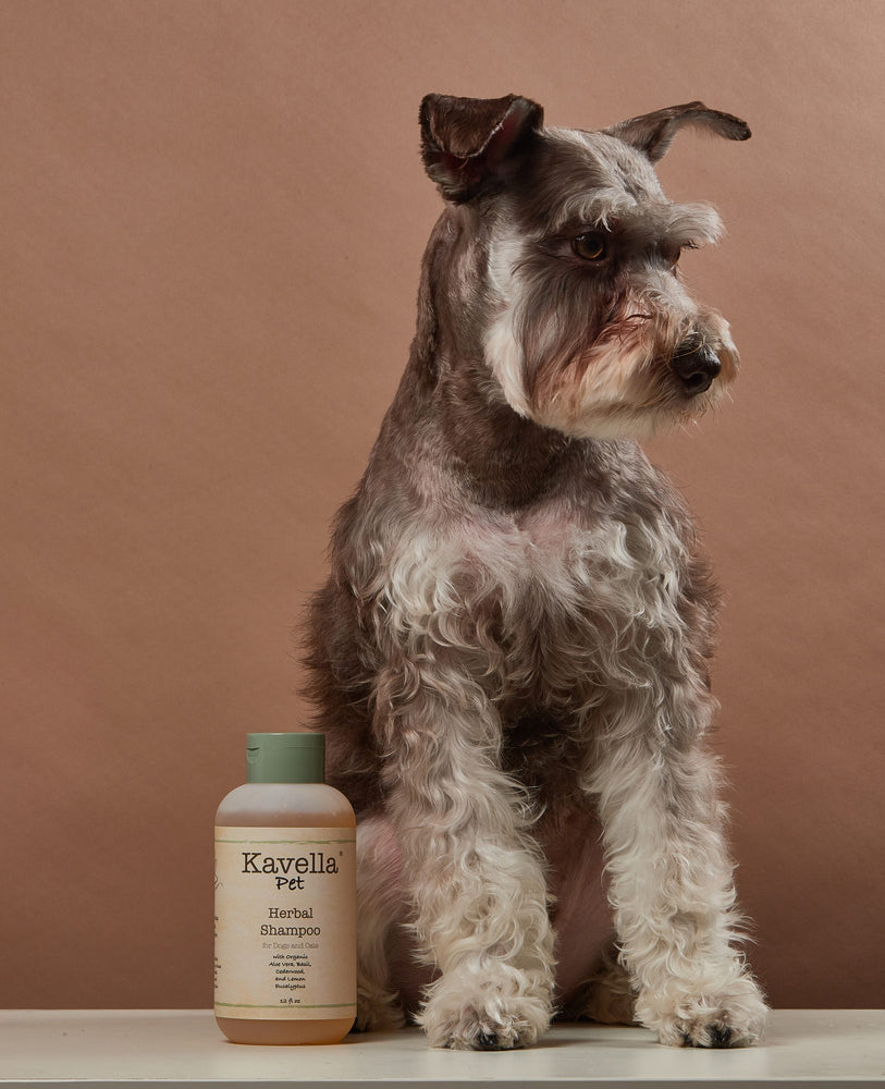 Herbal Pet Shampoo - Kavella