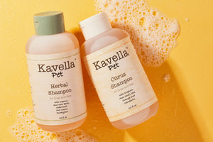 
                  
                    Herbal and Citrus Pet Shampoo - Kavella
                  
                